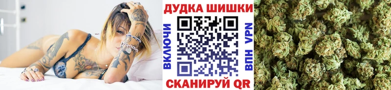 как найти наркотики  Сланцы  Бошки Шишки семена 